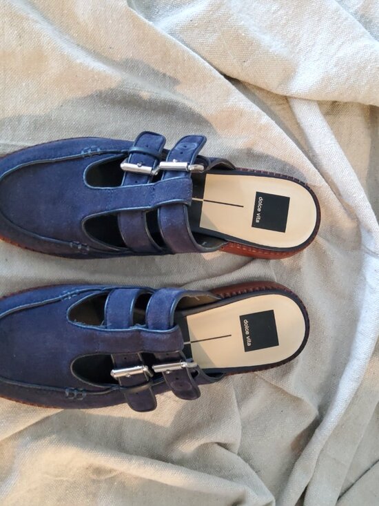 Dolce Vita Shoes - Dolce Vita Blue Suede Mary Jane Mules size 9